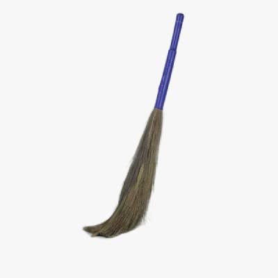 Oasis Broom (Phool)